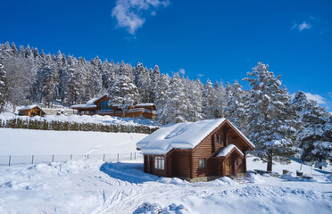 Wooden camping house in a snowy forest in the mountains