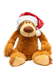 Teddy bear in a Christmas hat on a white background.