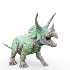 triceratops is ready on white background