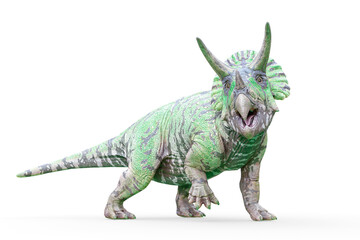 triceratops looking for food on white background © DM7
