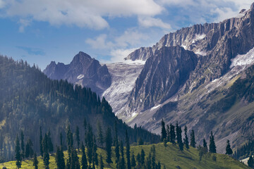 Fototapeta premium Beautiful Kashmir Landscape. Lush green meadows and mountains of Kashmir