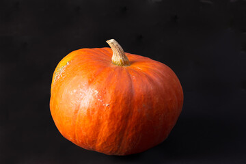 pumpkin on a dark background