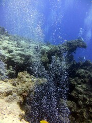 Dahab underwater canyon