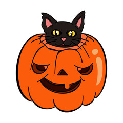 Black cat sitting in a pumpkin. Happy halloween. Vector illustration on white background. 
