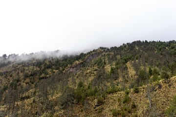 Rainforest road in the Nevado de colima mountains in ciudad guzman, jalisco.