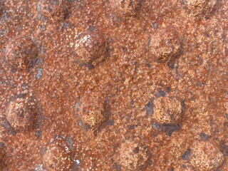 A group of round rivet heads on a brown rusted metal surface