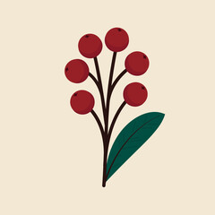 Christmas holly berry leaves isolated. Cute holly isolated on white background. Vector illustration.