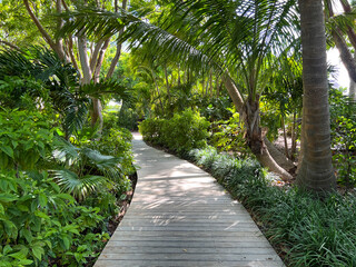 A wooden pathway trail during a sunny day in the tropical woods in the Florida Keys.