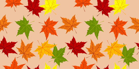 Naklejka na ściany i meble Colorful fallen yellow orange green red dry maple leaves on pastel beige background. Acer leaf. Autumn color template. Flyer. Celebration Card. Fall season. Foliage. Banner. Seamless pattern. Poster.