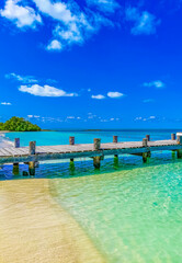 Beautiful tropical natural palm tree boat jetty Contoy island Mexico.