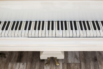 Close-up of piano keyboard. Close frontal view