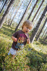 Blond Baby girl collecting berries in the forest 