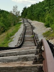 Obraz premium railway in the forest