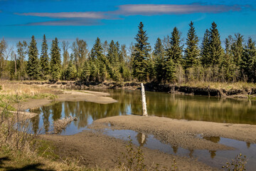 Fototapeta na wymiar Little Red Deer River meanders through the park Red Lodge PP Alberta Canada