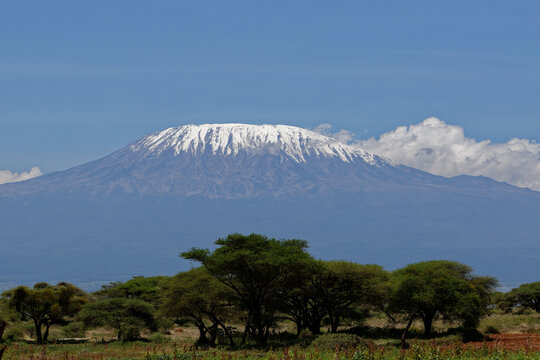 Snowcap of mt Kilimanjaro