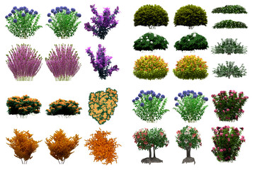 Pack of PNG vegetation. +6K. Flowering Bushes. Made from 3D model for compositing