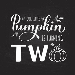 Little Pumpkin is turning two calligraphy hand lettering on chalkboard background. Fall baby second birthday decorations. Autumn quote. Vector template for poster, sign, invitation, etc