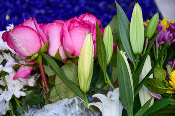 Flowers for memorials and vigils - obrazy, fototapety, plakaty