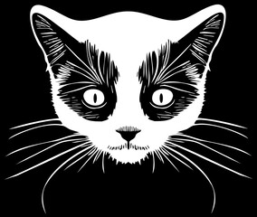 Cat head on a black background