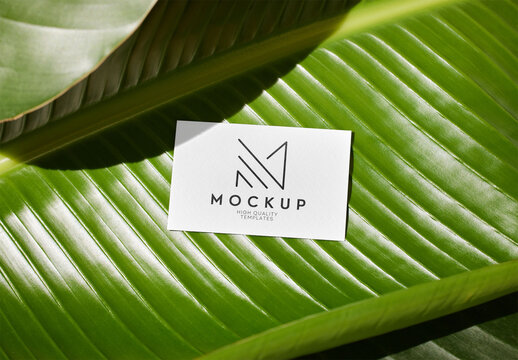 Business Card Mockup on a Green Leaf