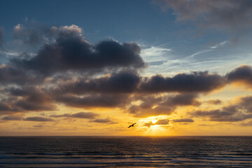 sunset over the sea