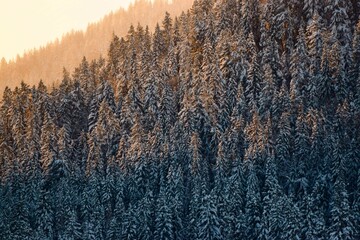 Fire and ice in the mountains