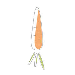 Digital vector illustration carrot isolated on a white background.Healthy food.