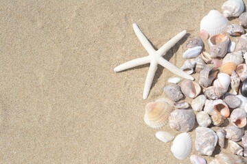 Fototapeta na wymiar Beautiful starfish and sea shells on sandy beach, flat lay. Space for text