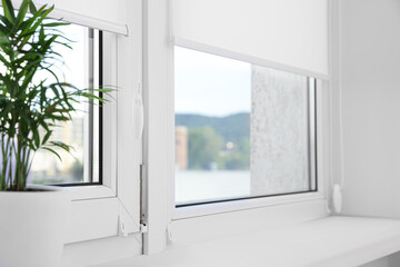 Fototapeta na wymiar Houseplant on white sill near window with roller blinds