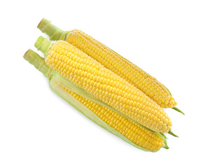 Tasty fresh corn cobs isolated on white, top view