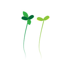 Bean sprout illustration free