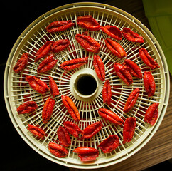 drying tomatoes in the dryer