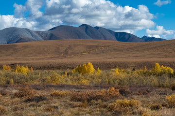 Yukon in Canada, wild landscape in autumn of the Tombstone park
