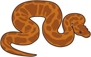 illustration of a snake