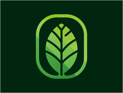 Abstract leaf illustration