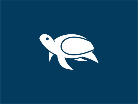 turtle illustration