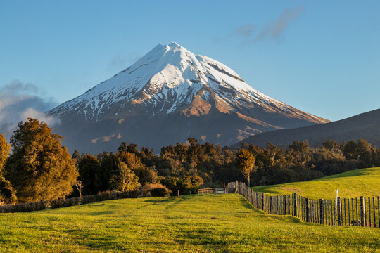 Cnow capped mount Taranaki lin evening sun, rural view