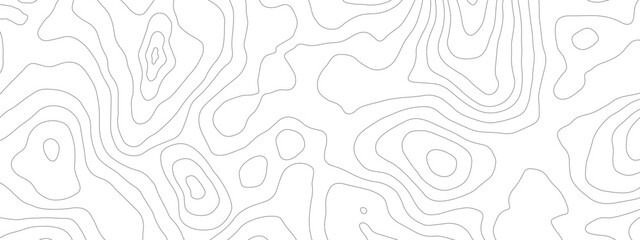 Topographic map lines background. Vector illustration. Abstract pattern with lines