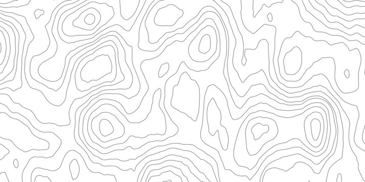 Topographic map background. Grid map. Pattern of contour lines. Abstract vector illustration.