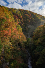 三途川渓谷の紅葉