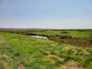 landscape with river and sky