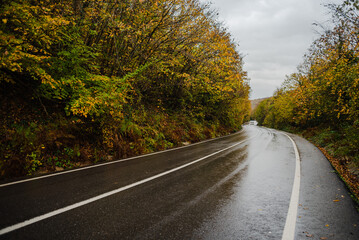Obraz premium Asphalt road autumn forest with fallen leaves , selective focus