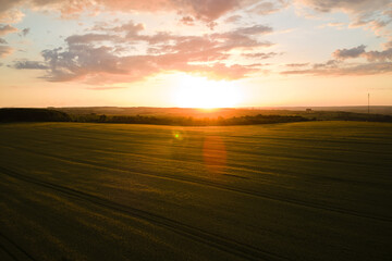 Aerial landscape view of yellow cultivated agricultural field with ripe wheat on vibrant summer evening