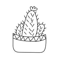 Three cacti in longitudinal pot and doodle-style flower
