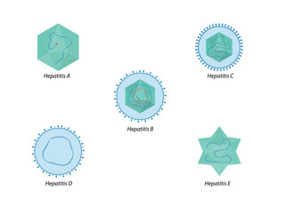 Hepatitis viruses of liver. Structure of hepatitis A, B, C, D, E viruses - obrazy, fototapety, plakaty