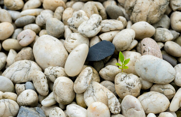pebble stone, Stones wallpaper,abstract background  round reeble stones