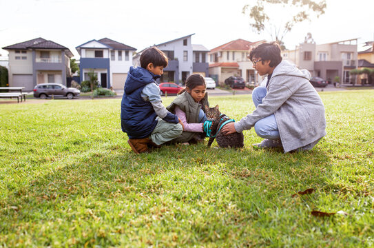 two boys and one girl playing with a cat with a blue green leash at park