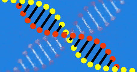 Image of dna strands spinning on blue background