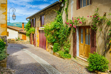 Fototapeta na wymiar In the street of the medieval village Ternand in France