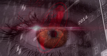 Image of globe over eye of caucasian woman